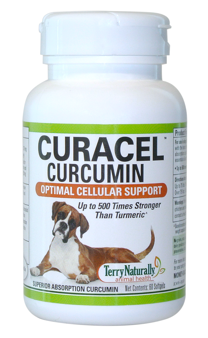 Curacel™ Curcumin for Dogs 60 Softgels